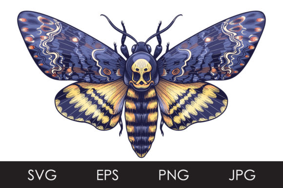 Death's-Head Hawk Moth Graphics & Illustrations